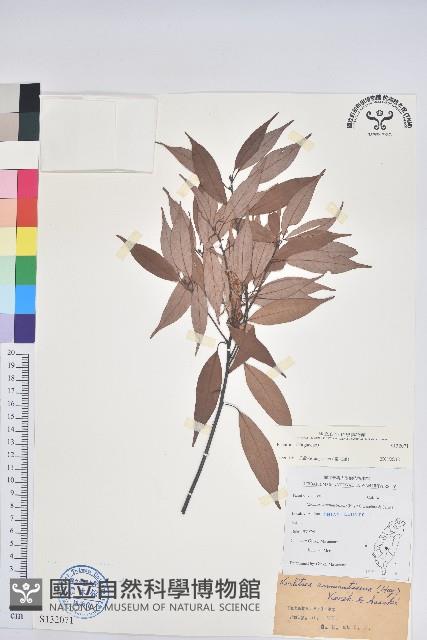 登錄號:S132071藏品圖，第1張