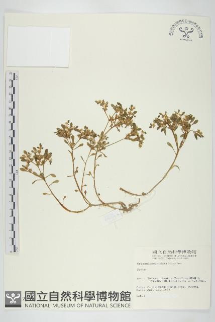 登錄號:S011271藏品圖，第1張