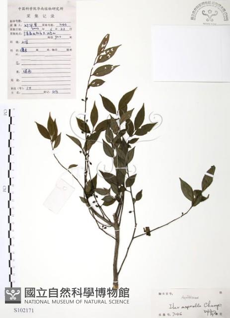 燈稱花、烏雞骨藏品圖，第1張