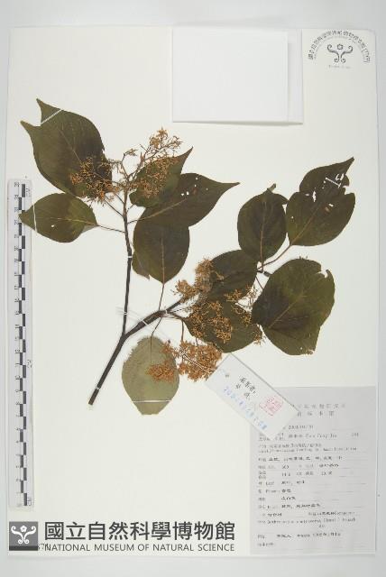 登錄號:S130871藏品圖，第1張