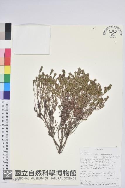 登錄號:S093971藏品圖，第1張