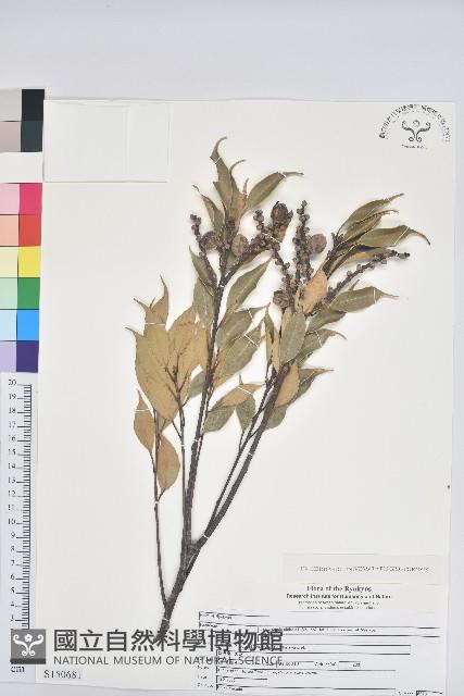 登錄號:S150681藏品圖，第1張