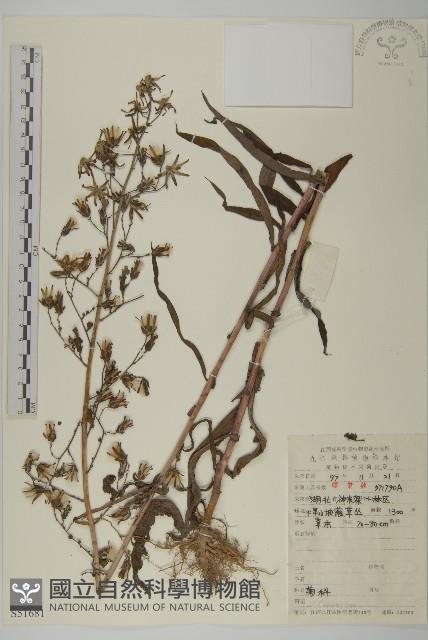 Accession Number:S051681 Collection Image, Figure 1, Total 2 Figures