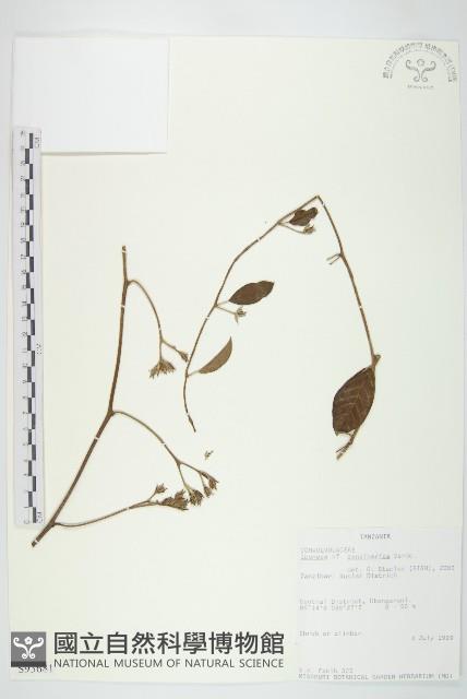 登錄號:S093681藏品圖，第1張