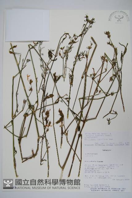 登錄號:S113181藏品圖，第1張