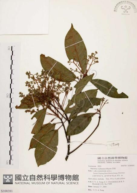 香楠藏品圖，第1張