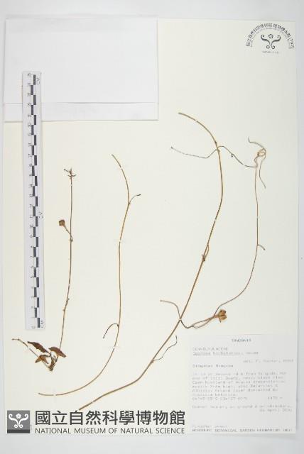 登錄號:S093381藏品圖，第1張