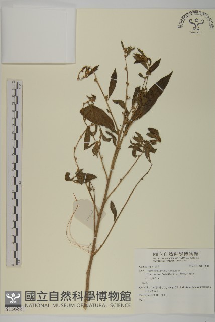 登錄號:S136881藏品圖，第1張