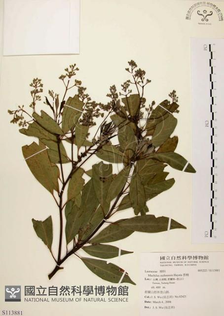 香楠藏品圖，第1張