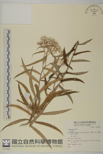 登錄號:S073981藏品圖，第1張