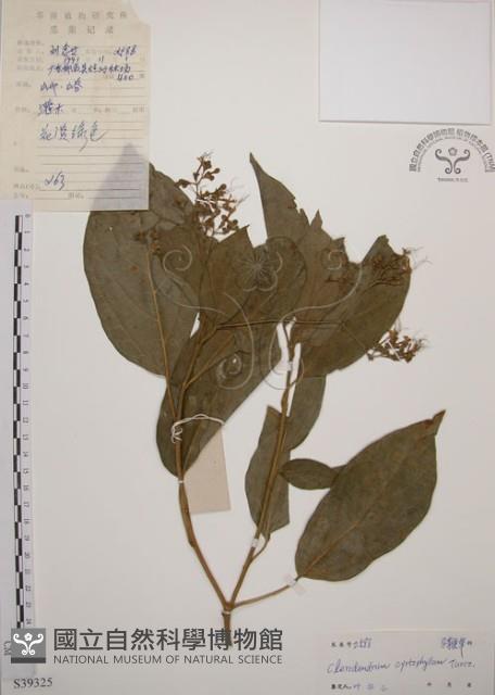 大青藏品圖，第1張