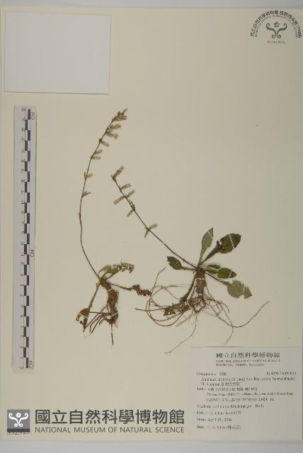 臺灣鬼督郵藏品圖，第1張