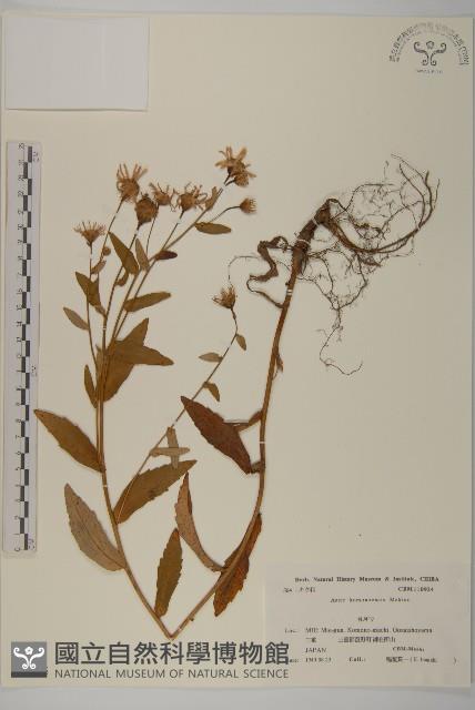 登錄號:S039925藏品圖，第1張