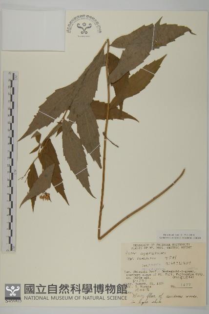 登錄號:S049005藏品圖，第1張