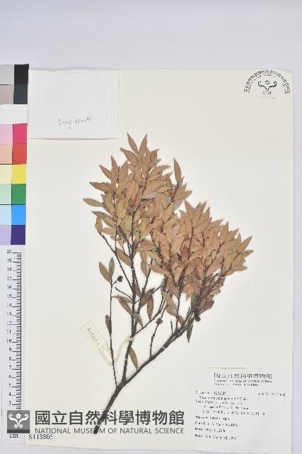 登錄號:S118805藏品圖，第1張