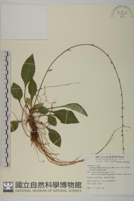 臺灣鬼督郵藏品圖，第1張