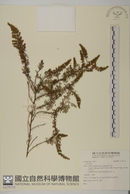 登錄號:S129715藏品圖，第1張