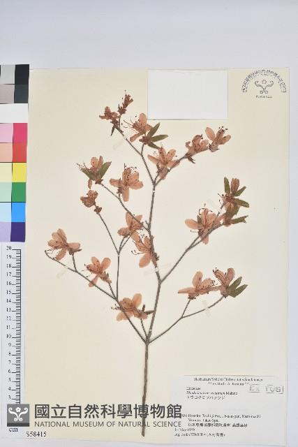 登錄號:S058415藏品圖，第1張