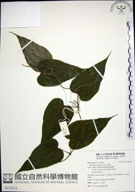 百部藏品圖，第1張