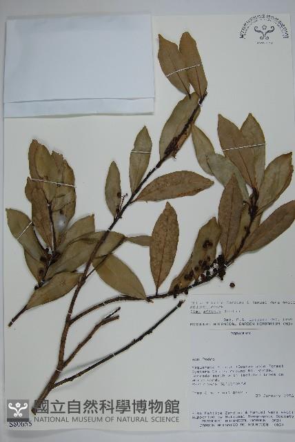 登錄號:S080655藏品圖，第1張