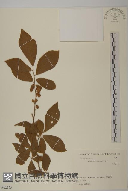 常山藏品圖，第1張