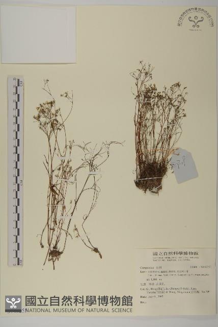 登錄號:S140255藏品圖，第1張