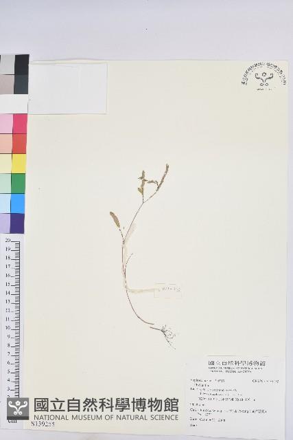 登錄號:S139255藏品圖，第1張