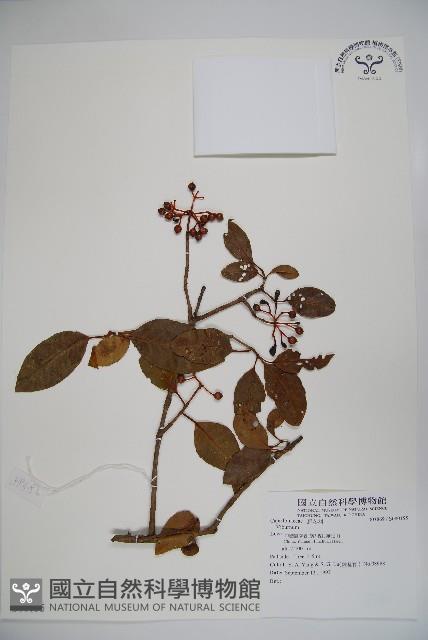 登錄號:S080155藏品圖，第1張