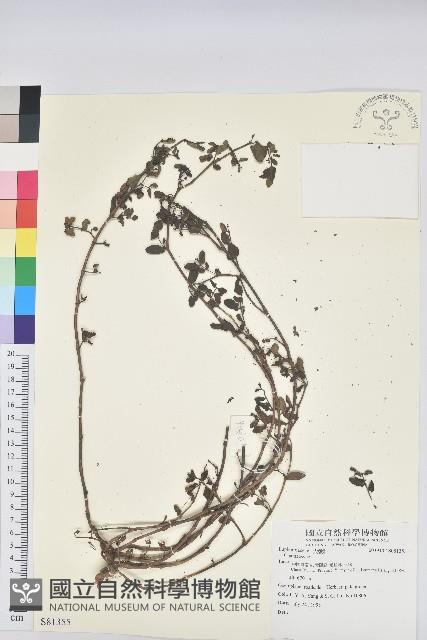 登錄號:S081355藏品圖，第1張