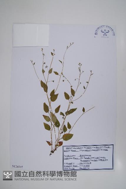 登錄號:S120395藏品圖，第1張