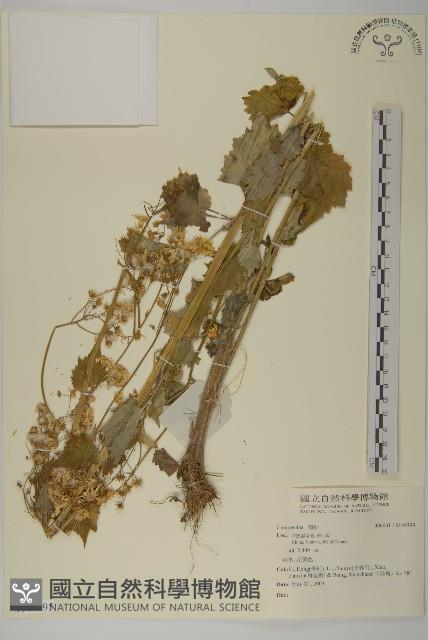 登錄號:S140395藏品圖，第1張