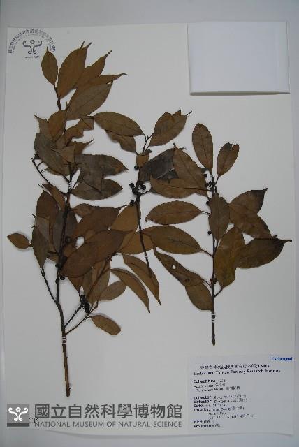 臺灣糊樗藏品圖，第1張