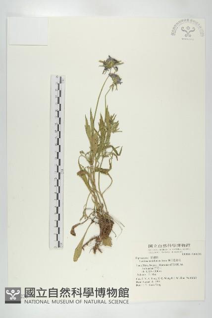 Accession Number:S049235 Collection Image, Figure 1, Total 2 Figures