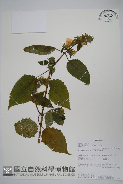 登錄號:S093835藏品圖，第1張