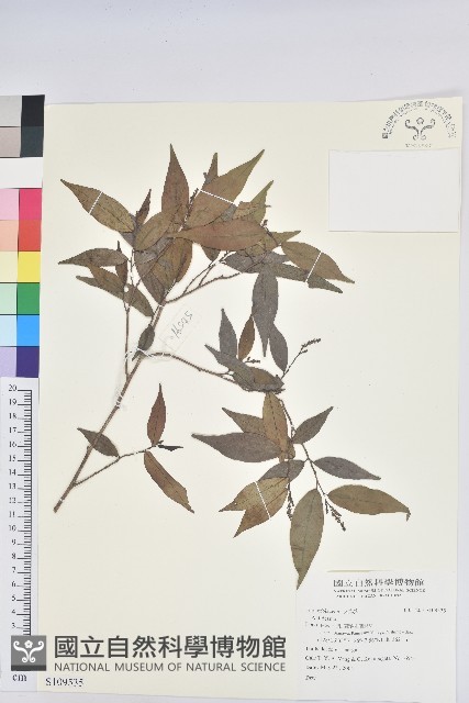 登錄號:S109535藏品圖，第1張