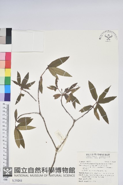 登錄號:S150265藏品圖，第1張