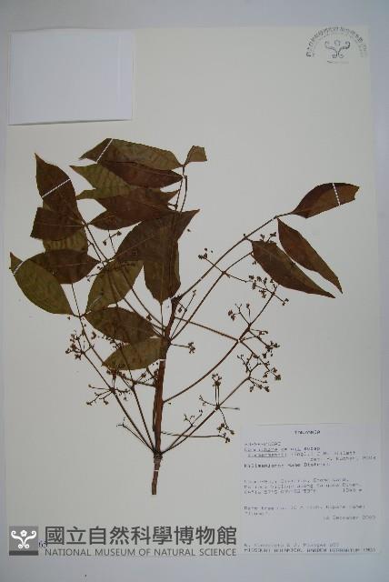 登錄號:S100865藏品圖，第1張