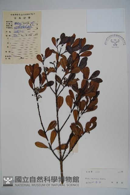 登錄號:S040965藏品圖，第1張