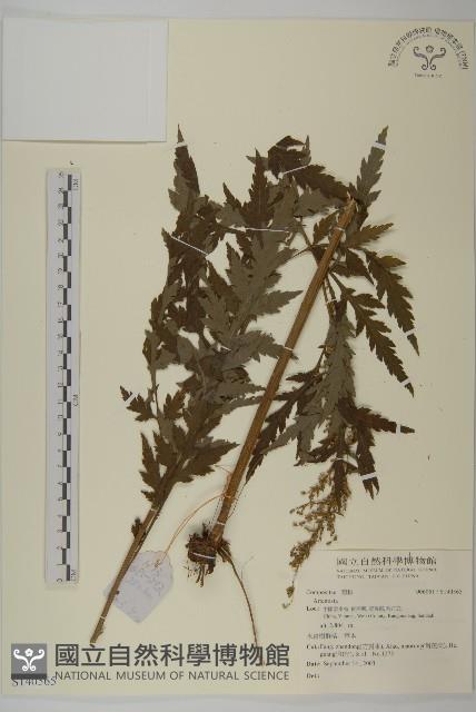 登錄號:S140565藏品圖，第1張