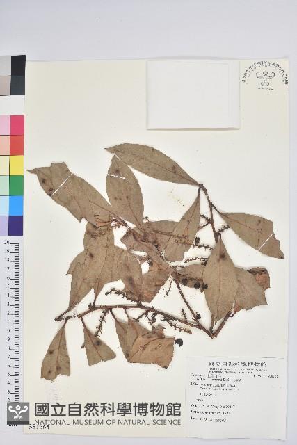 地檀香藏品圖，第1張