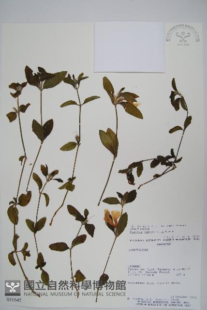 登錄號:S081645藏品圖，第1張