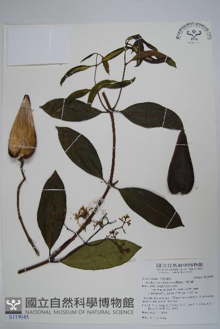 大錦蘭藏品圖，第1張