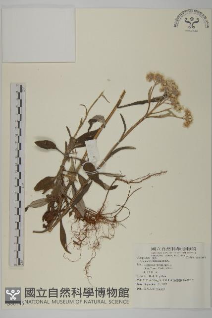 登錄號:S080145藏品圖，第1張