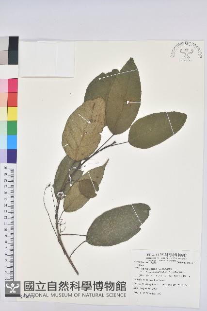 登錄號:S083075藏品圖，第1張