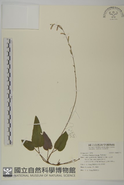 香鬼督郵藏品圖，第1張