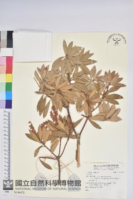 登錄號:S140475藏品圖，第1張