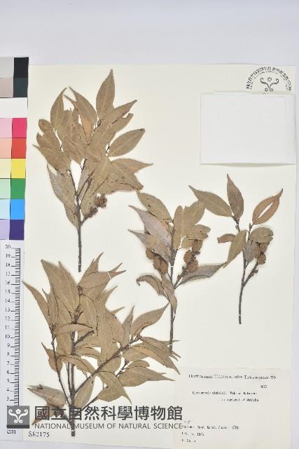 登錄號:S082175藏品圖，第1張