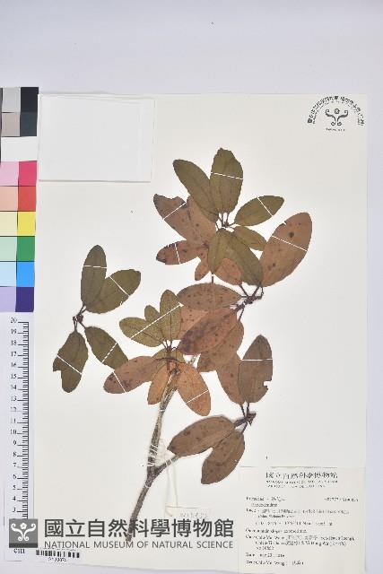 登錄號:S190875藏品圖，第1張