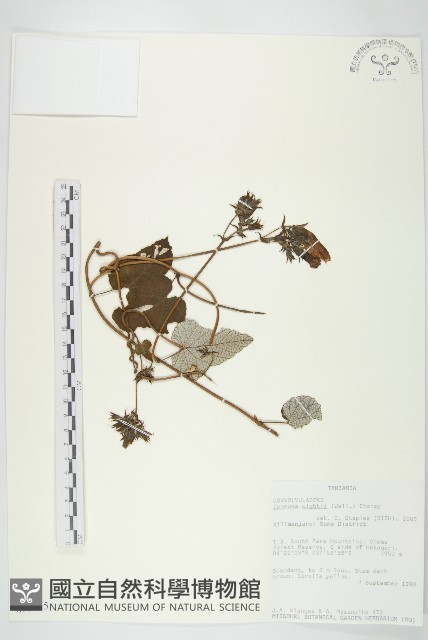 登錄號:S093875藏品圖，第1張