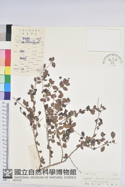 登錄號:S029575藏品圖，第1張